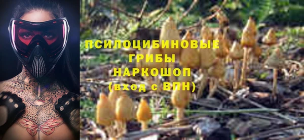 СК Верхний Тагил