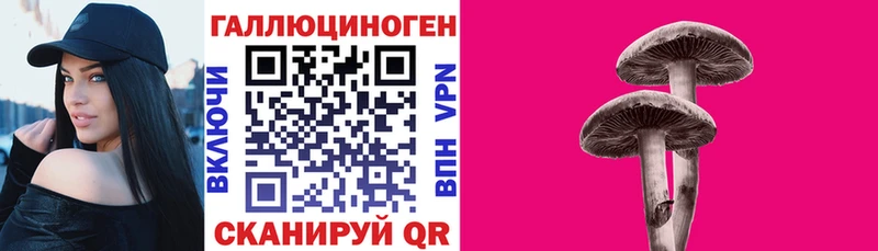 Псилоцибиновые грибы Cubensis  Луза 